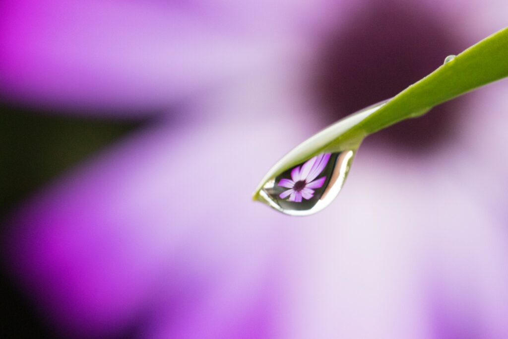 pexels jia naqvi 4579911